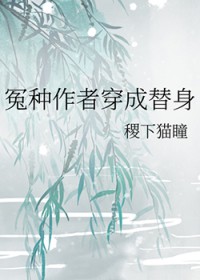 冤种作者穿成替身